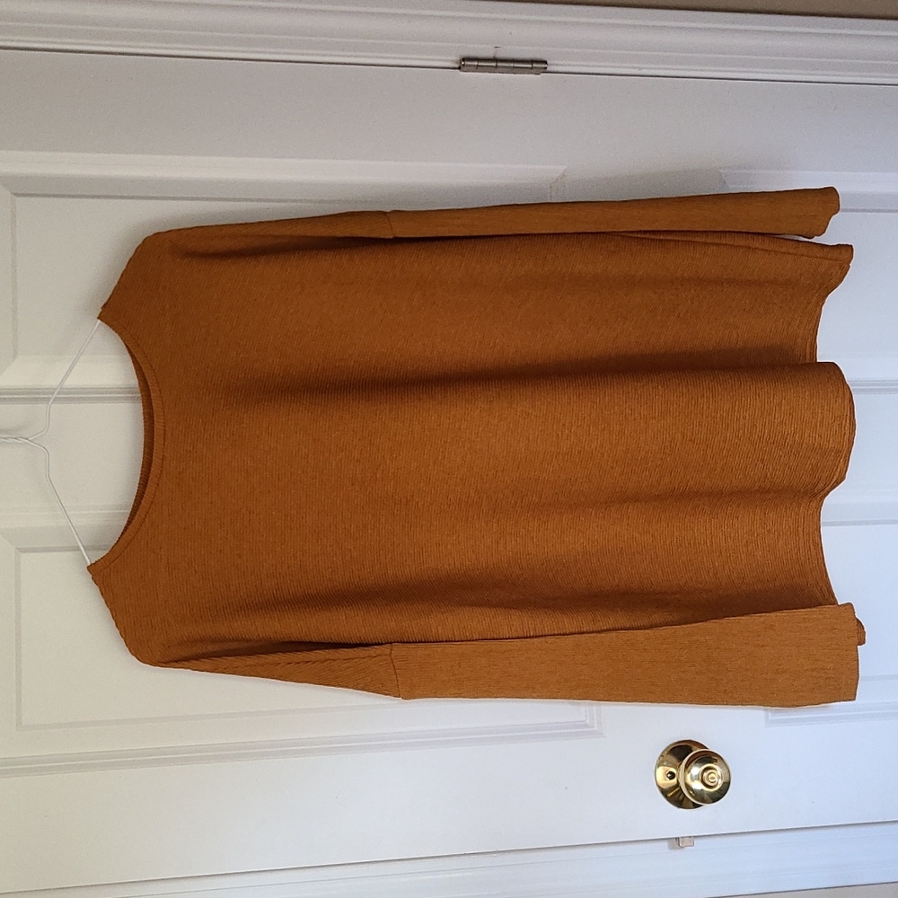 2 brand new shirts for price of 1